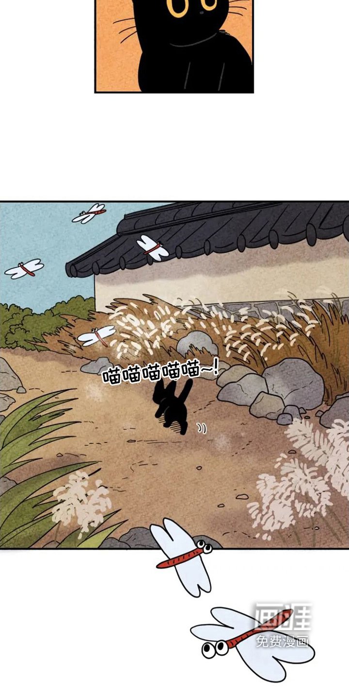 第15章：脏猫