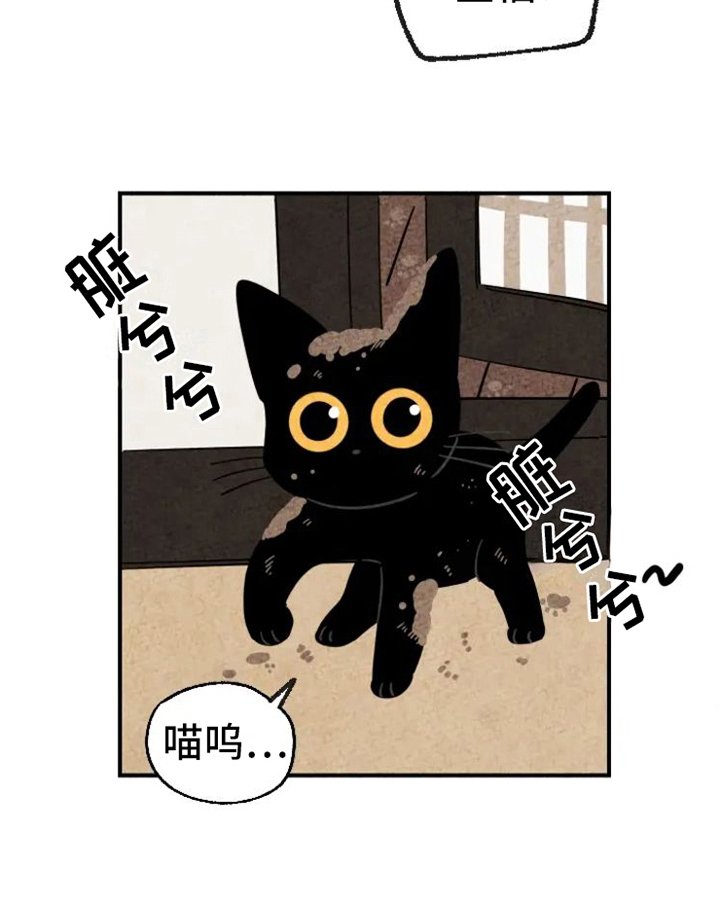第15章：脏猫