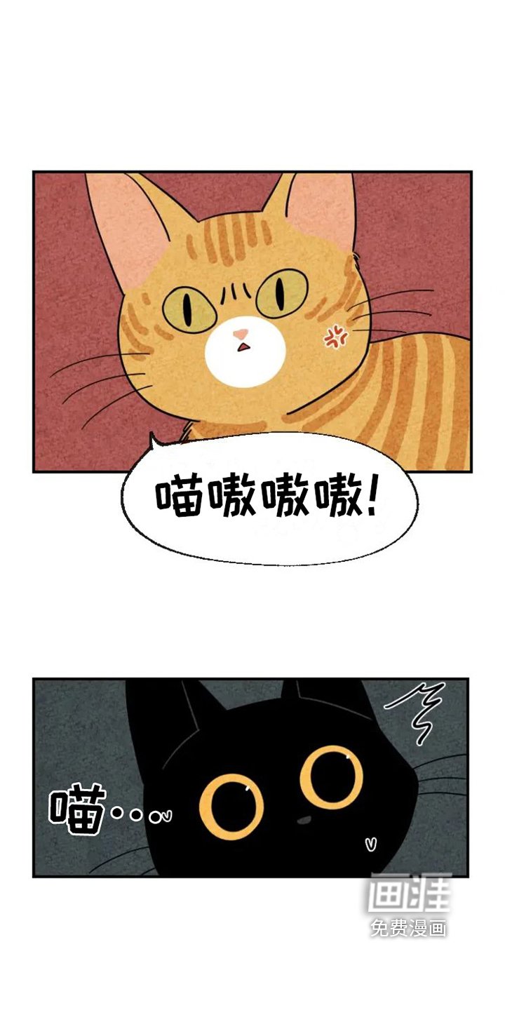 第18章：劝告