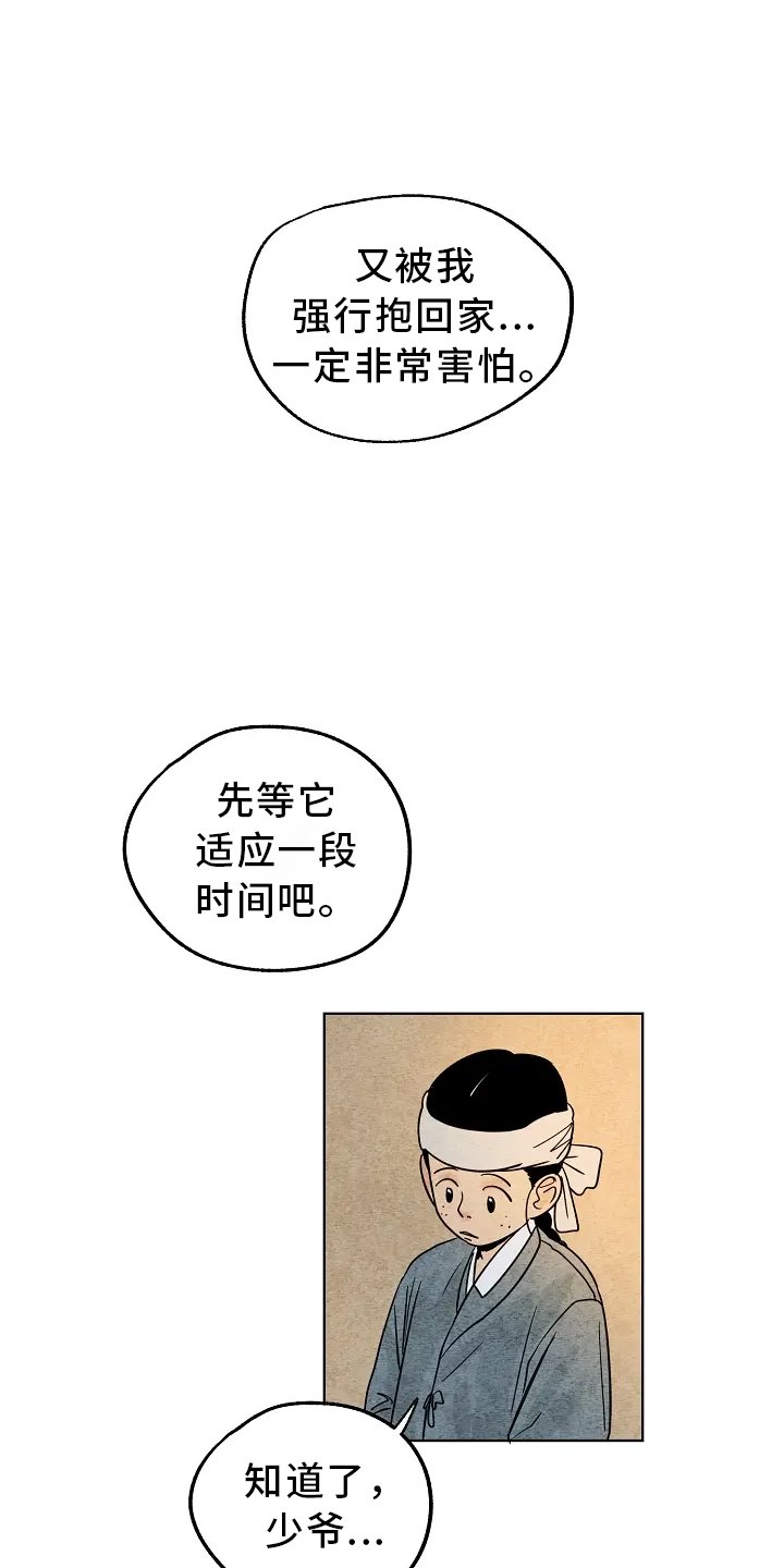 第2章：收养