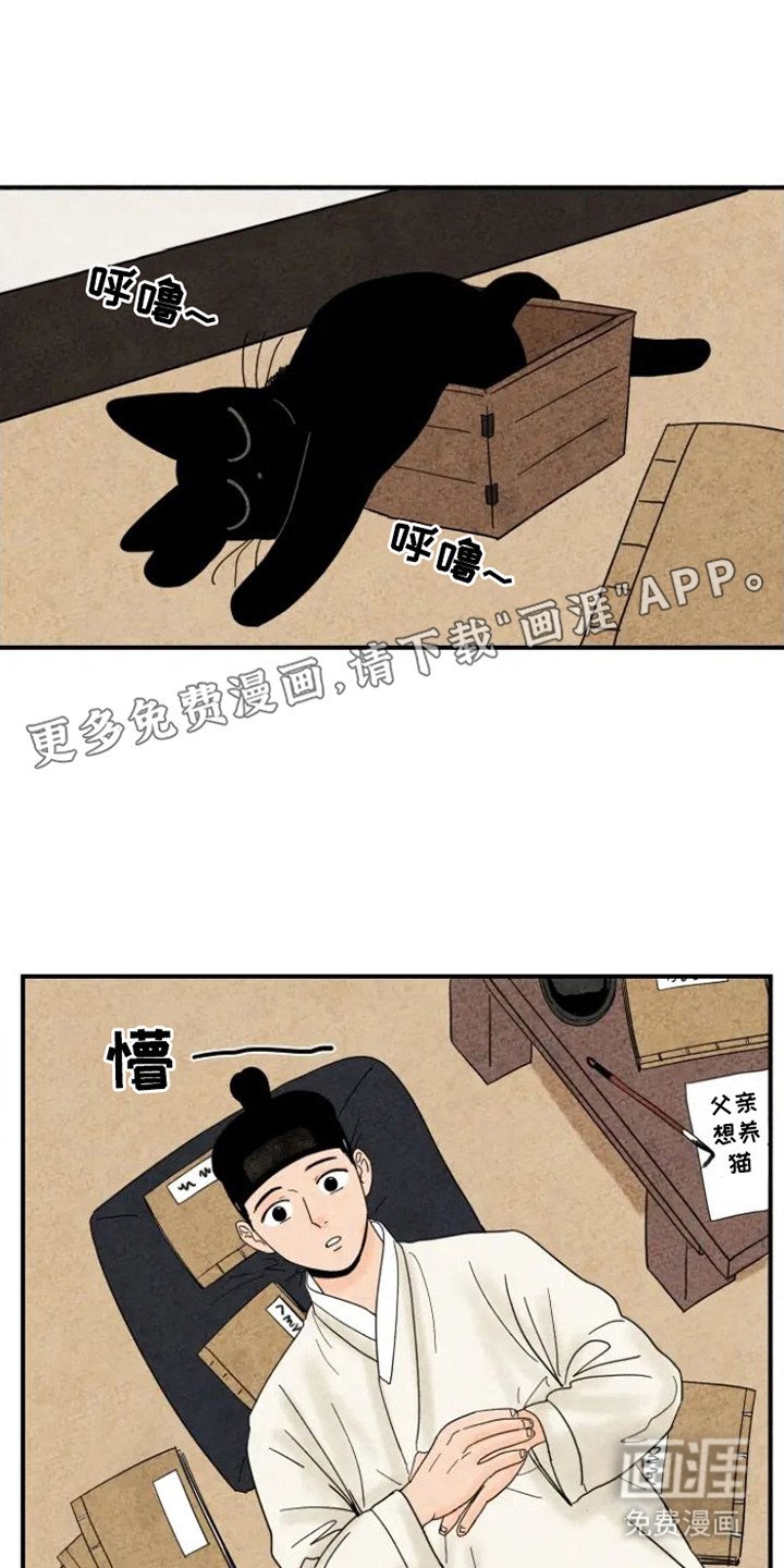 第20章：老鼠