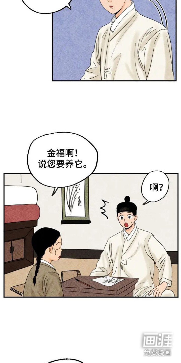 第20章：老鼠