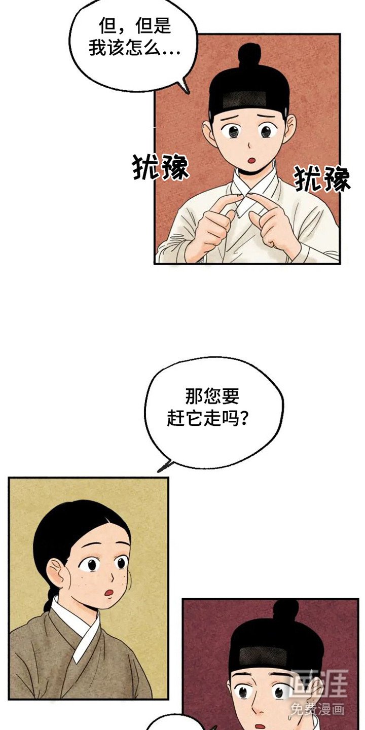 第20章：老鼠