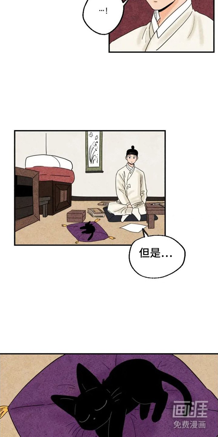 第20章：老鼠