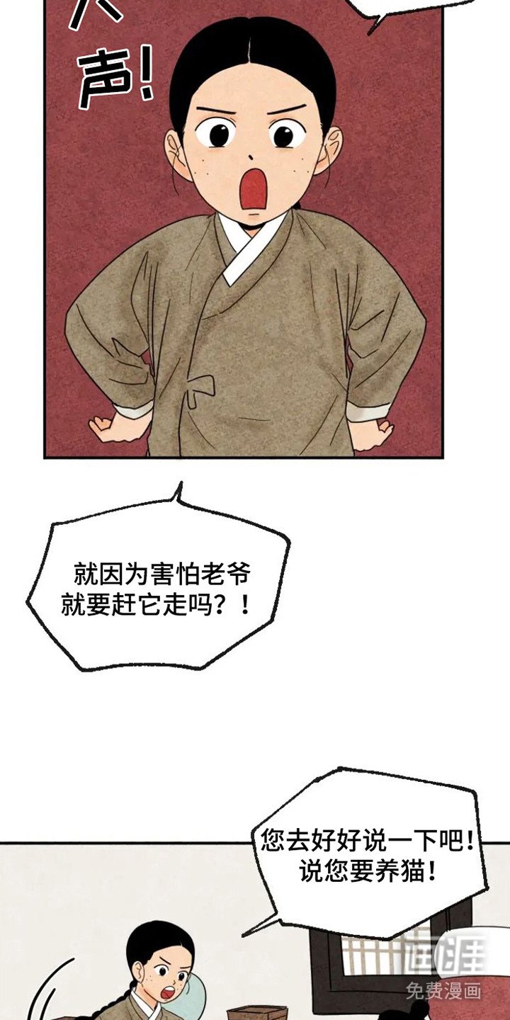 第20章：老鼠