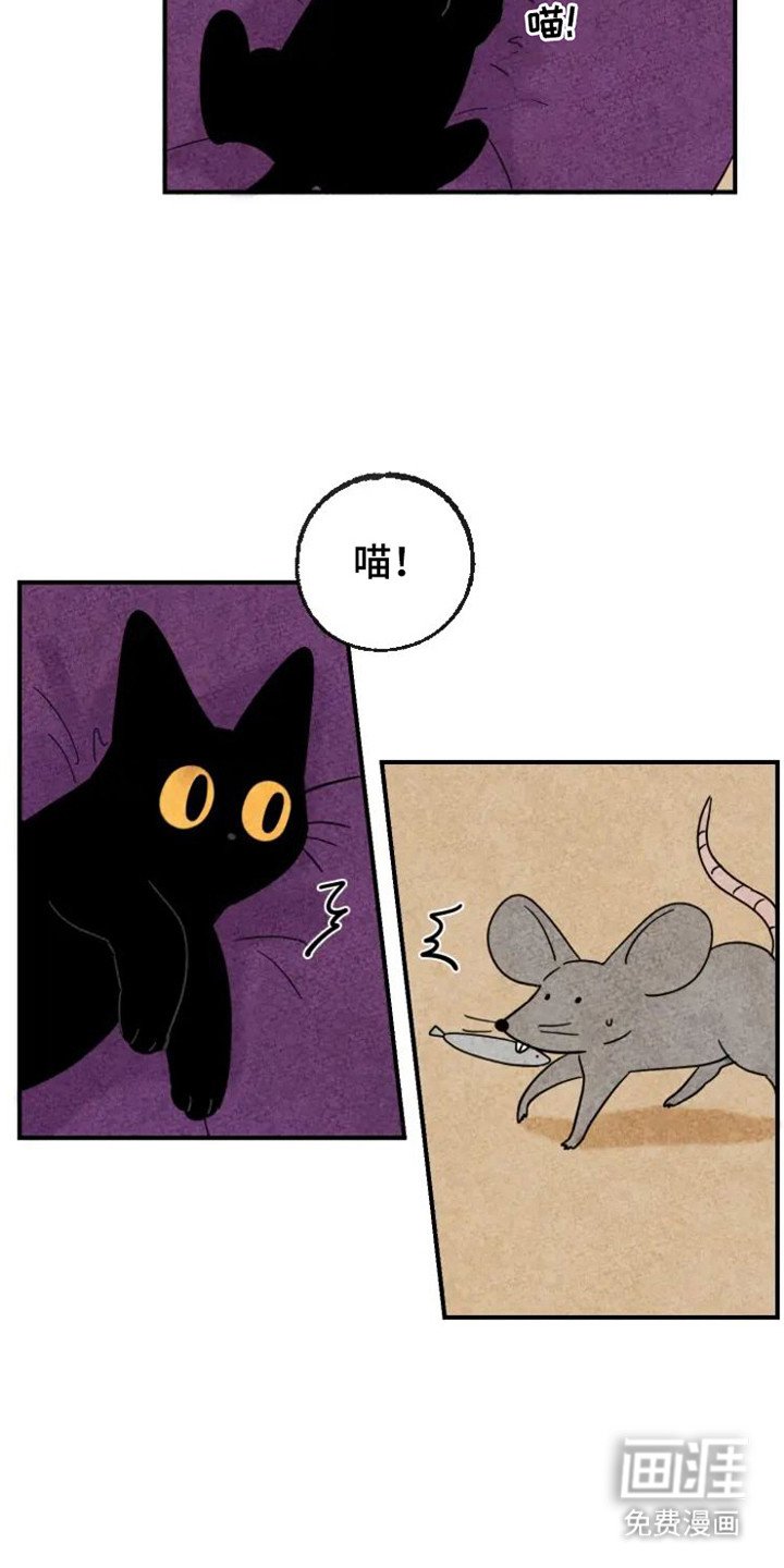 第20章：老鼠
