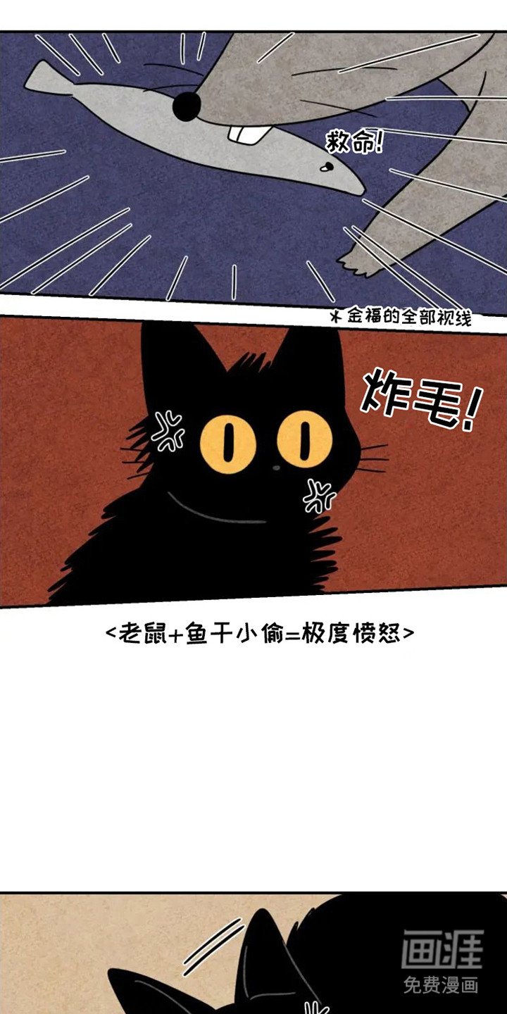 第20章：老鼠
