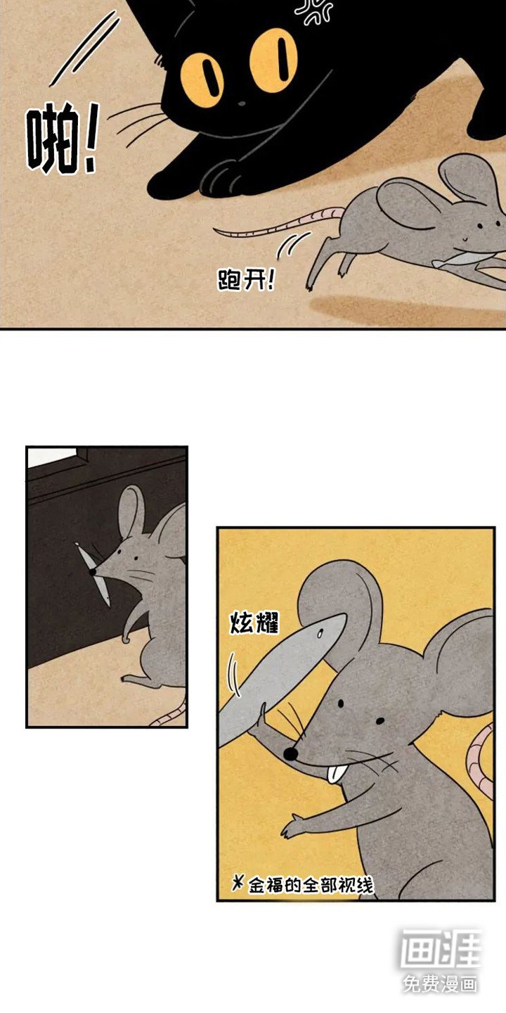 第20章：老鼠