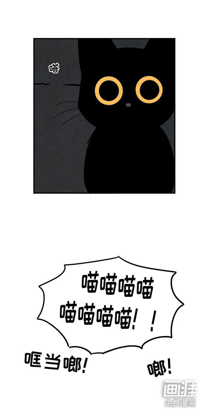 第20章：老鼠