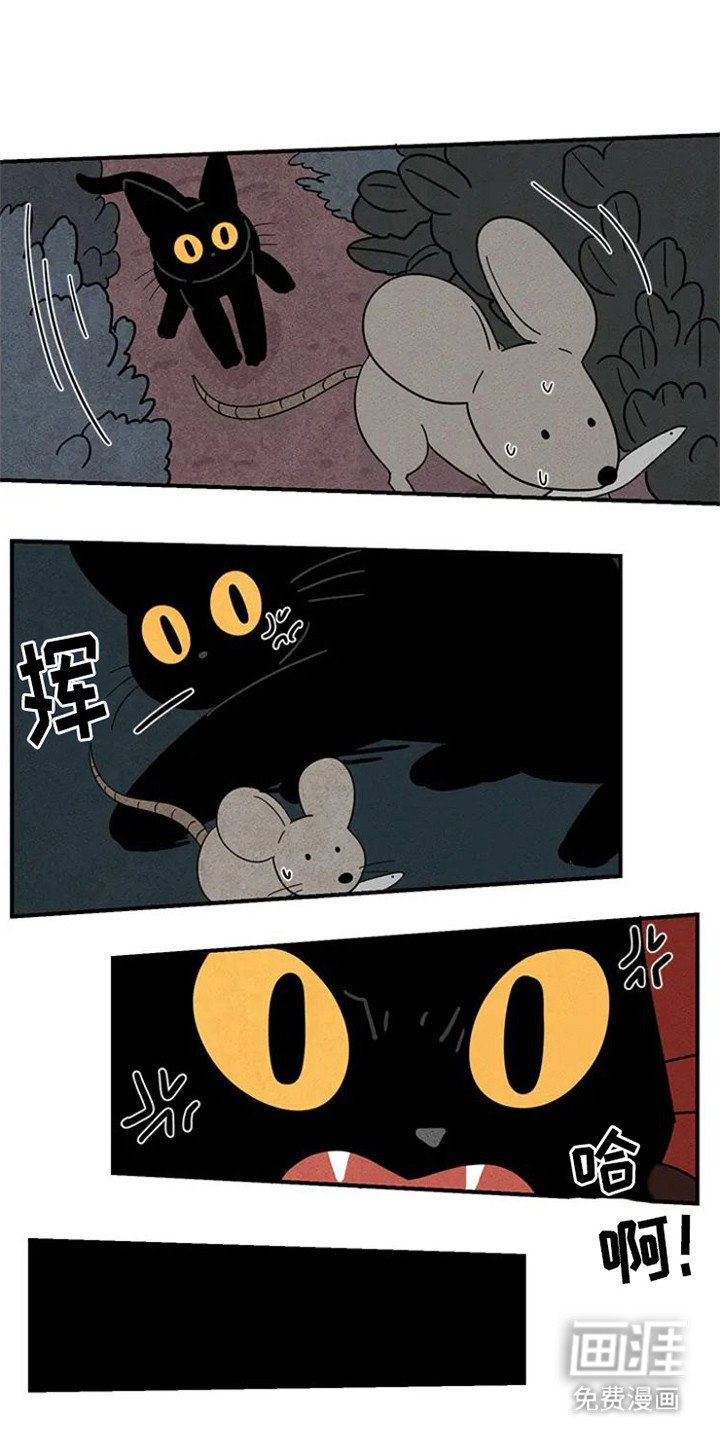 第20章：老鼠