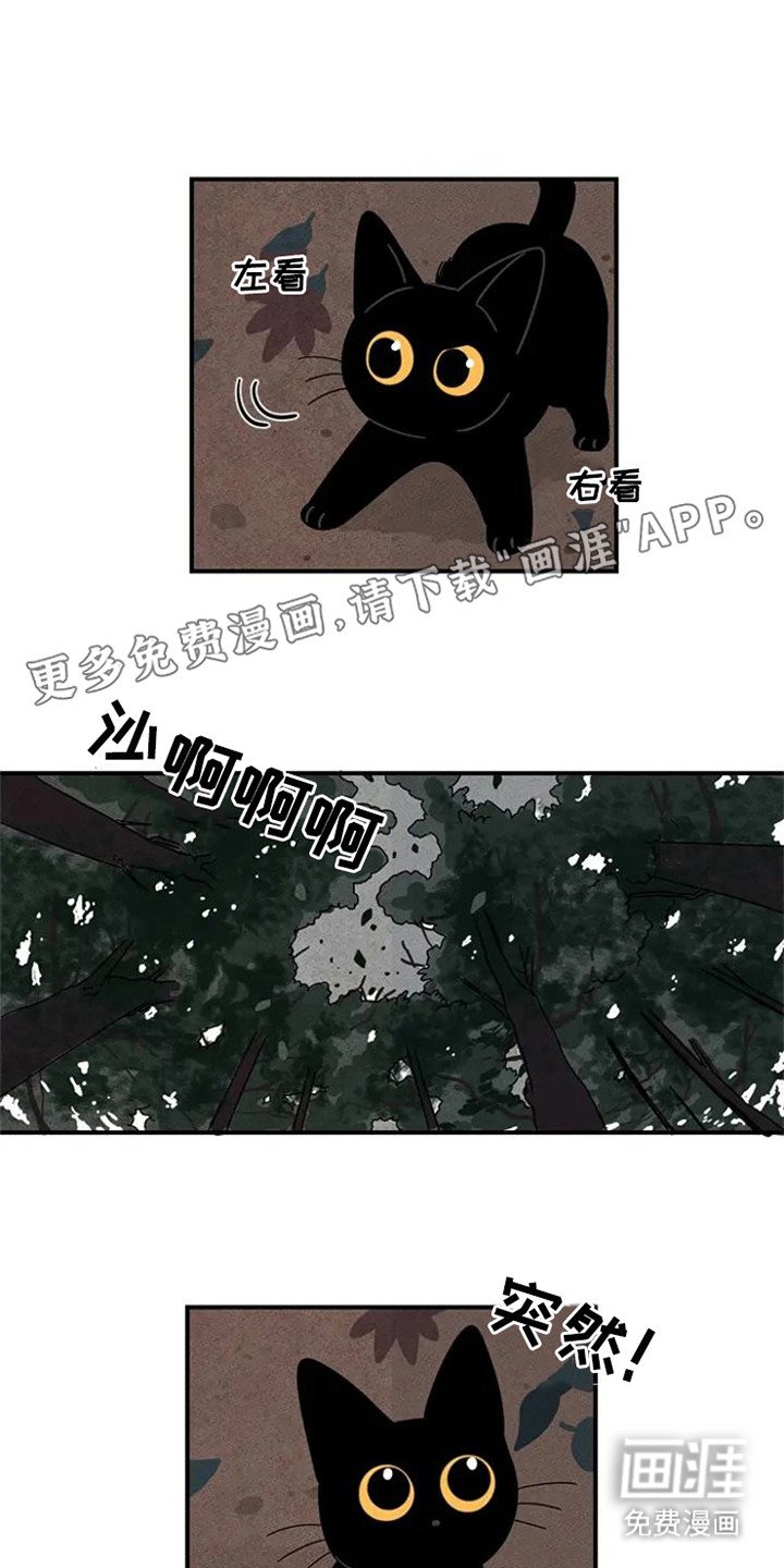 第21章：迷路了
