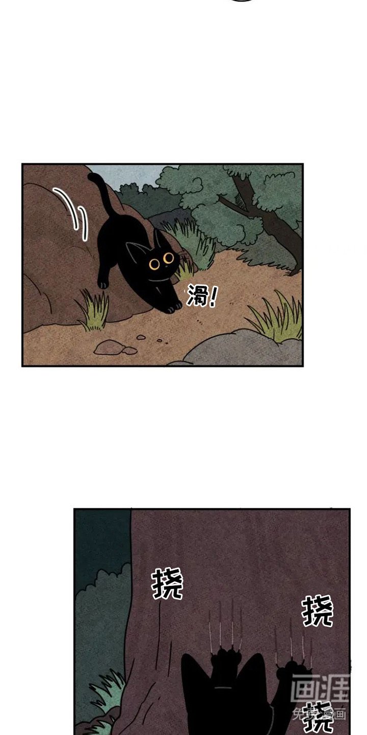 第21章：迷路了