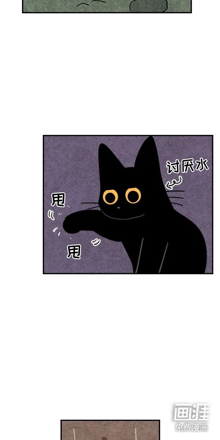 第21章：迷路了