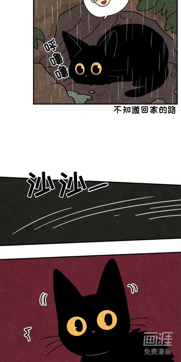 第22章：晕倒