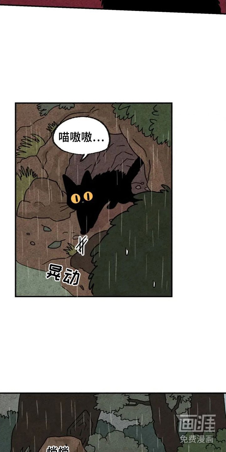 第22章：晕倒