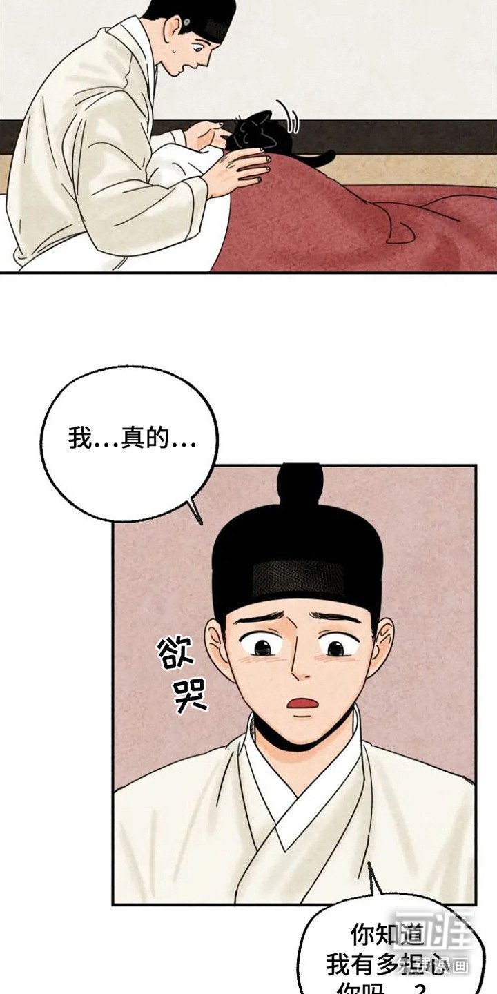 第23章：回来了