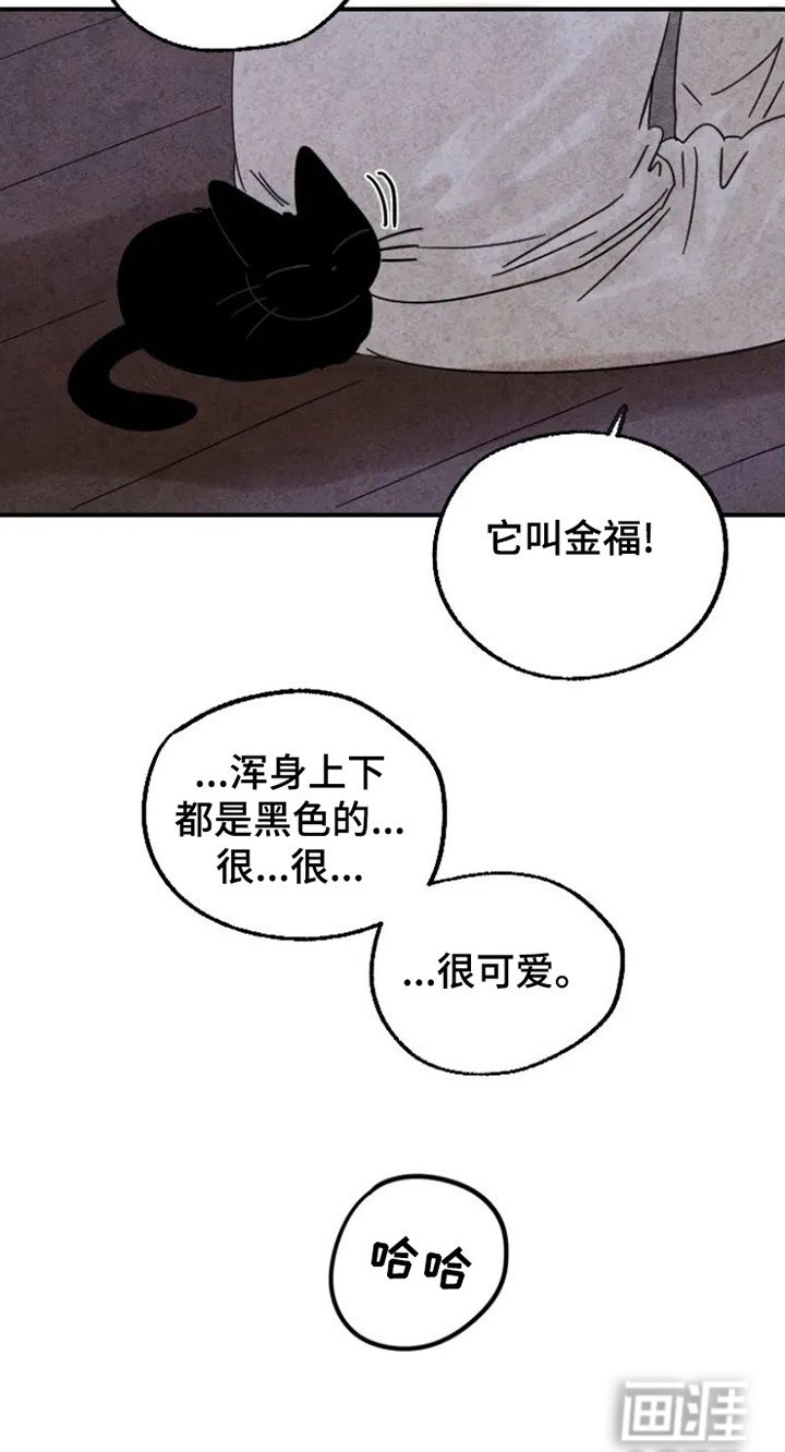 第25章：缘由