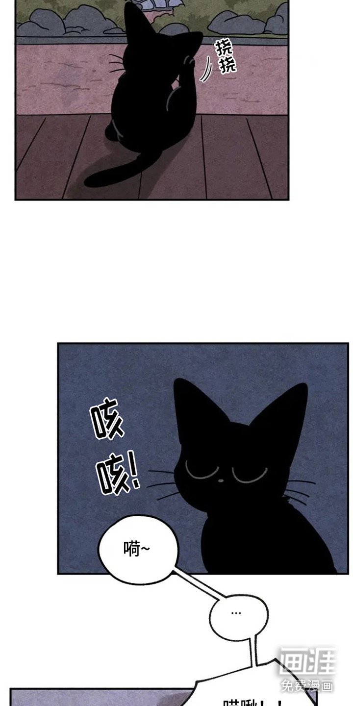 第26章：地瓜