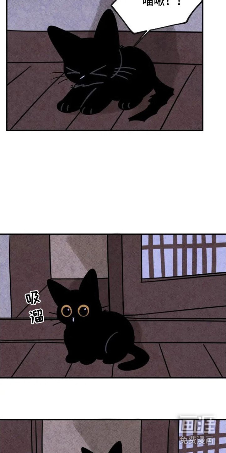 第26章：地瓜
