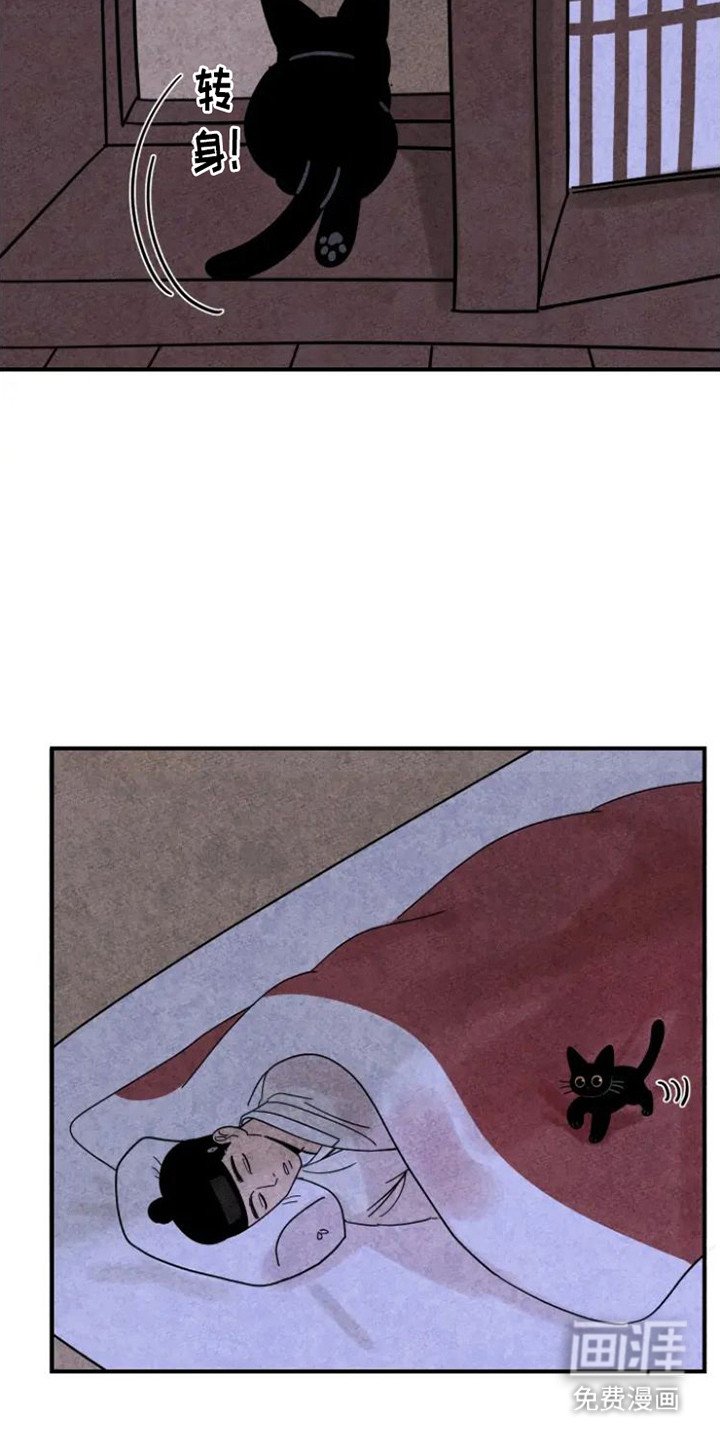 第26章：地瓜