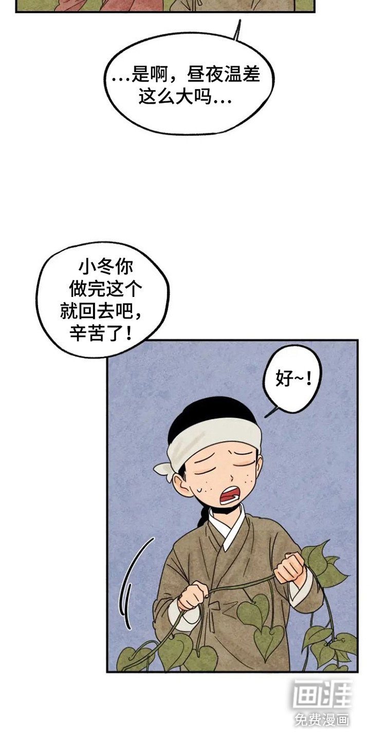 第26章：地瓜
