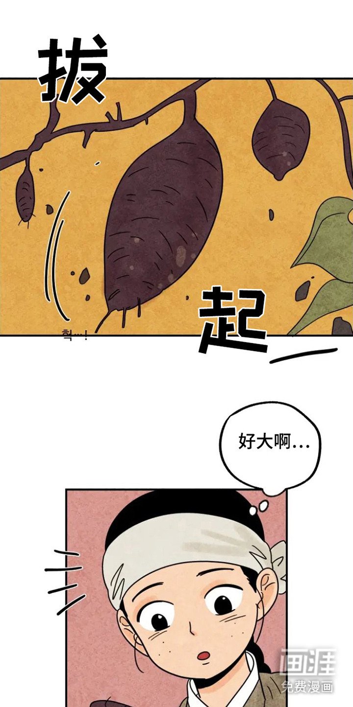 第26章：地瓜