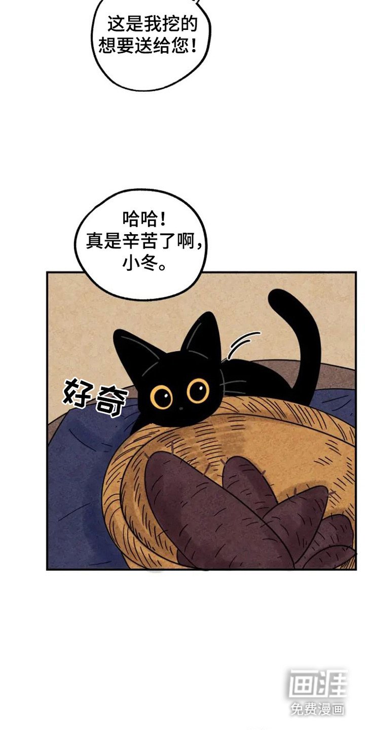 第26章：地瓜