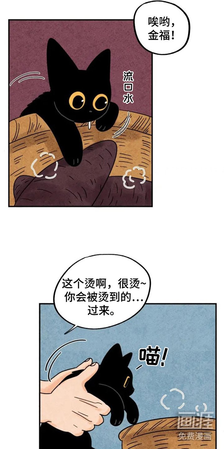 第26章：地瓜