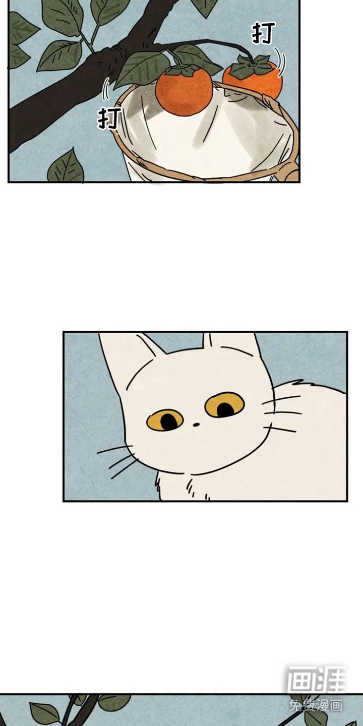 第28章：溺爱
