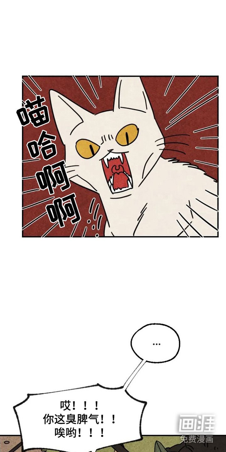 第28章：溺爱