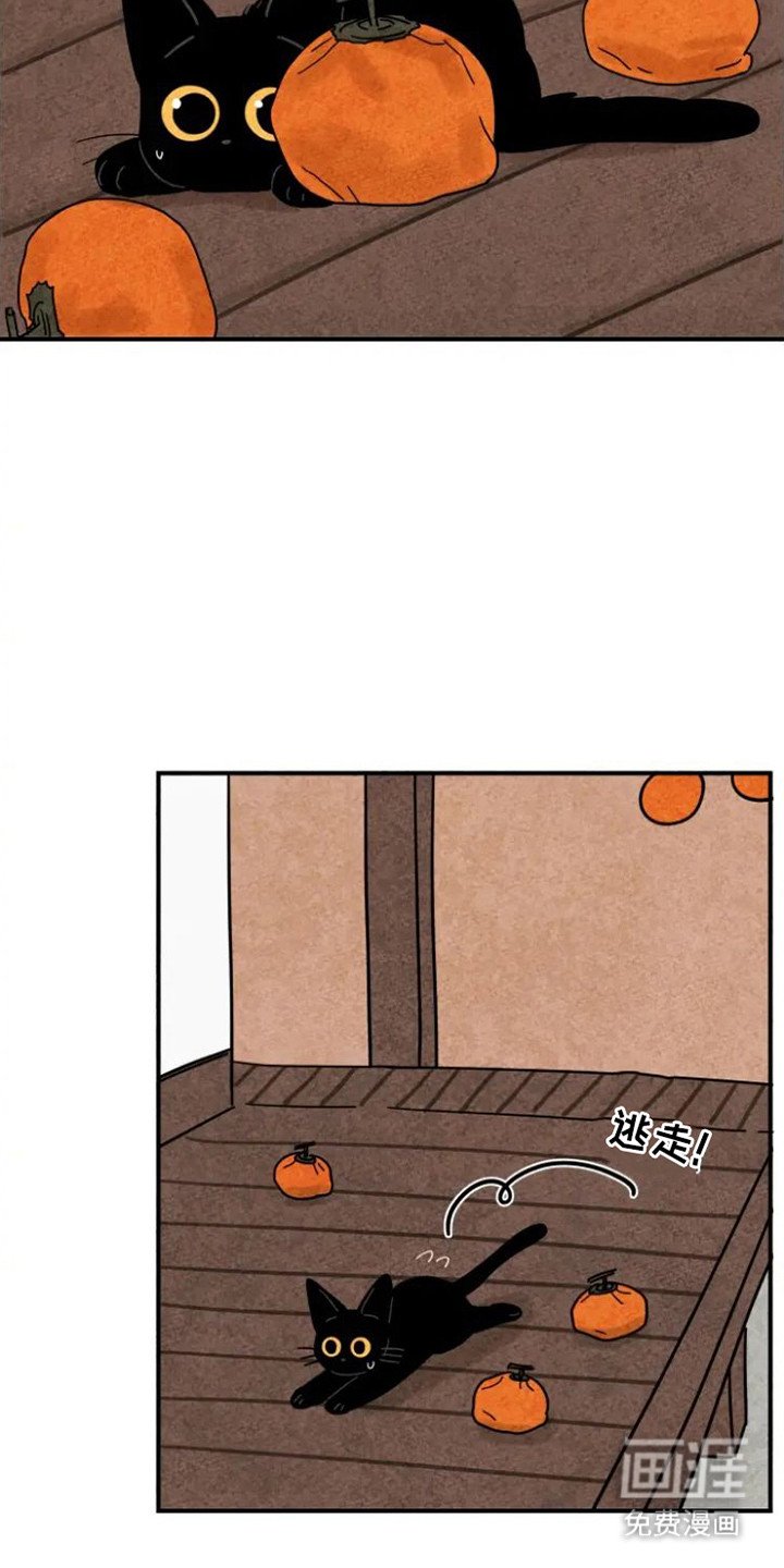 第29章：指责