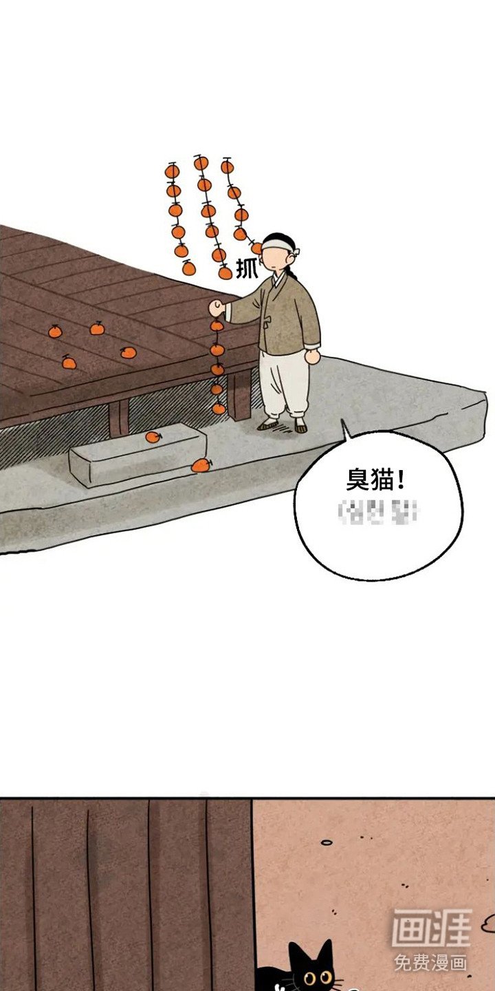 第29章：指责
