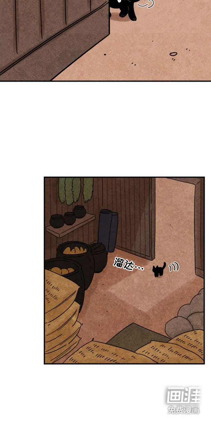 第29章：指责