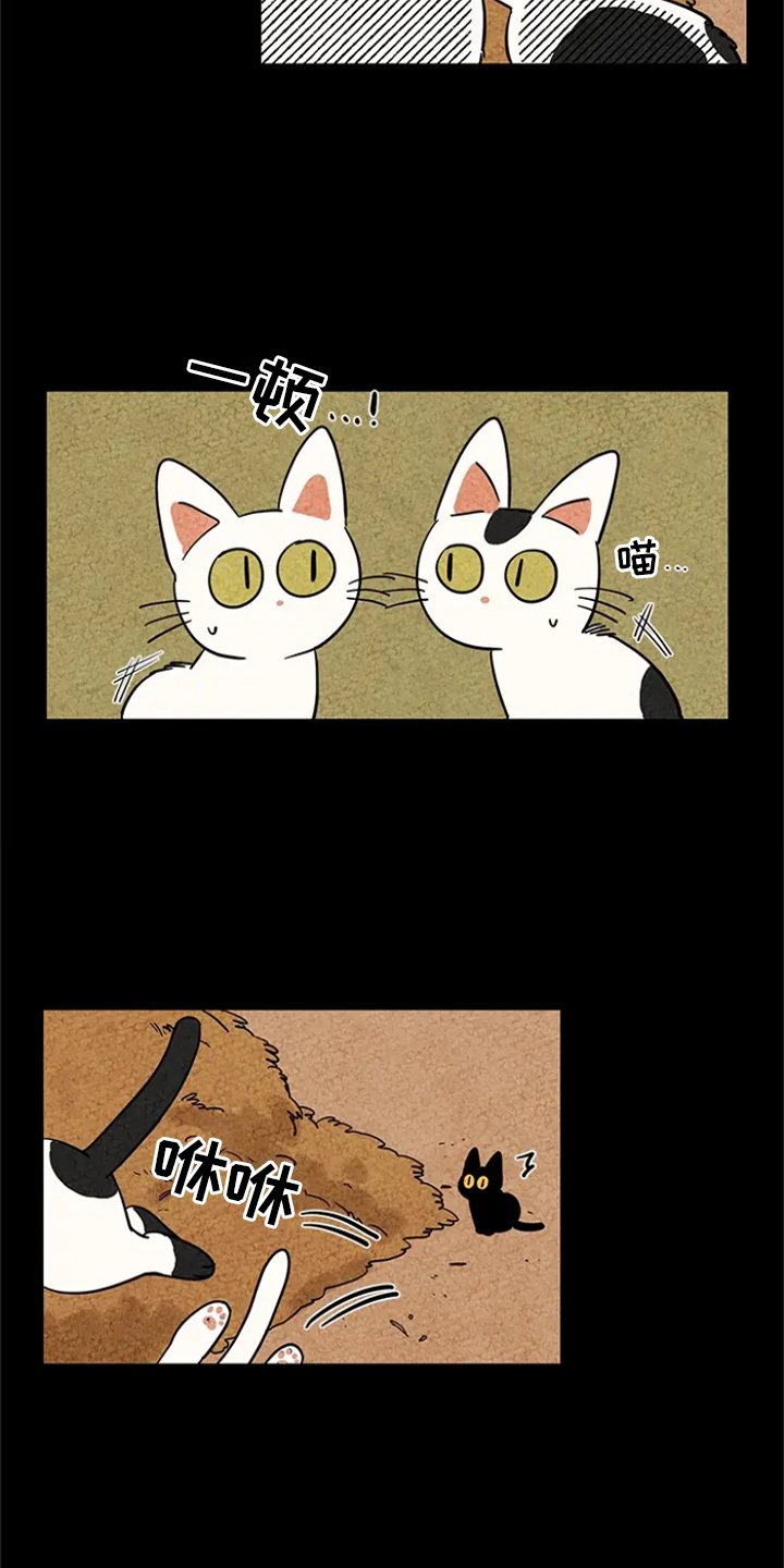 第3章：求助