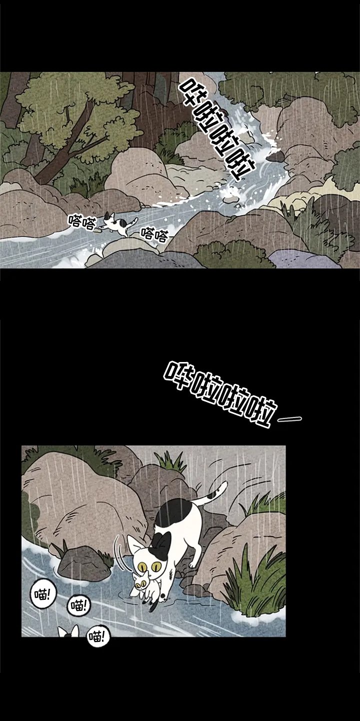 第3章：求助