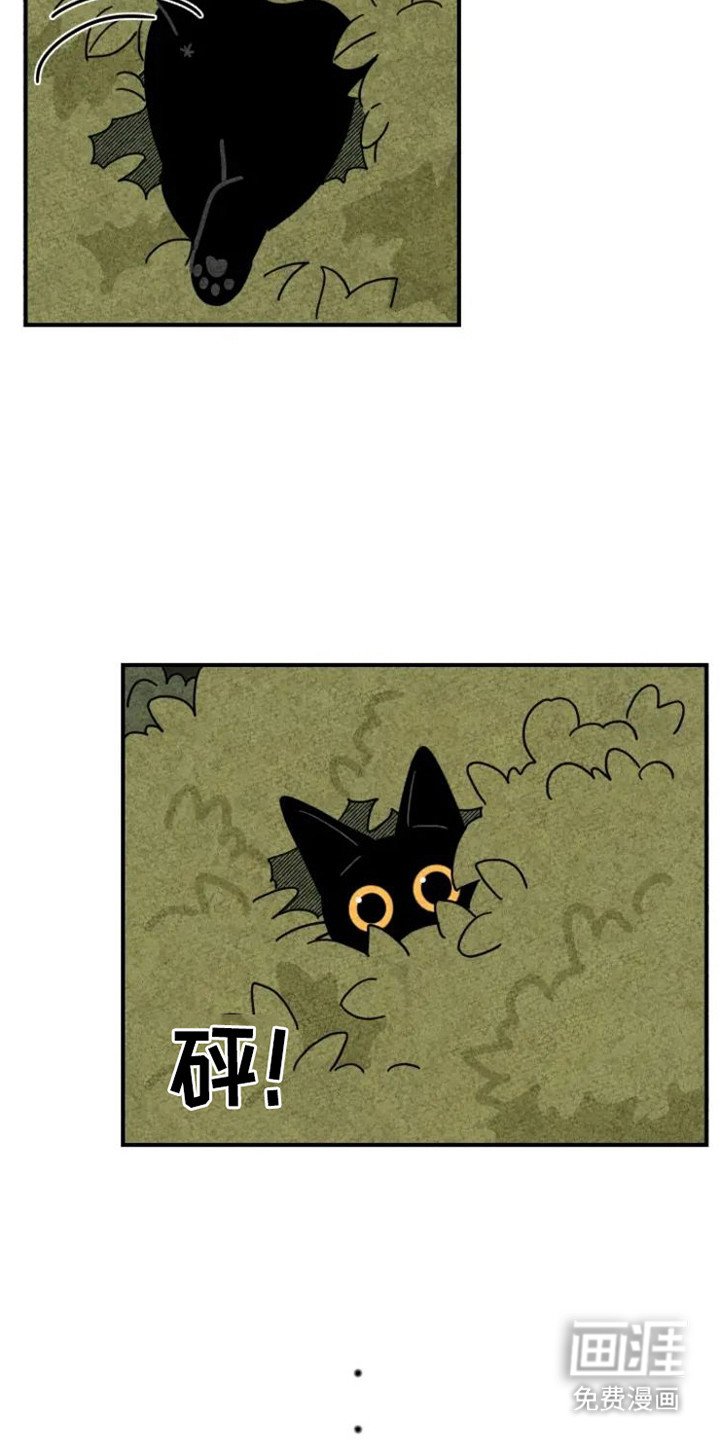 第30章：夸奖