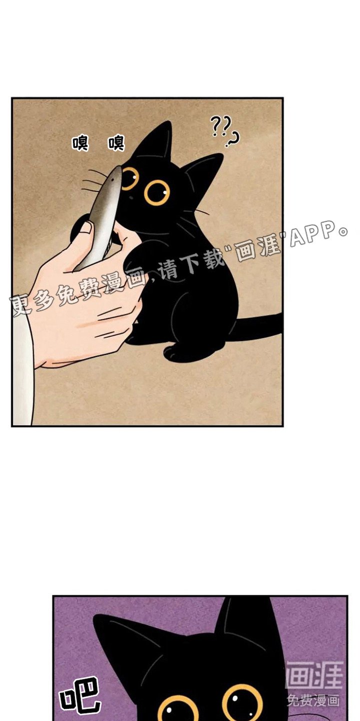 第31章：好久不见