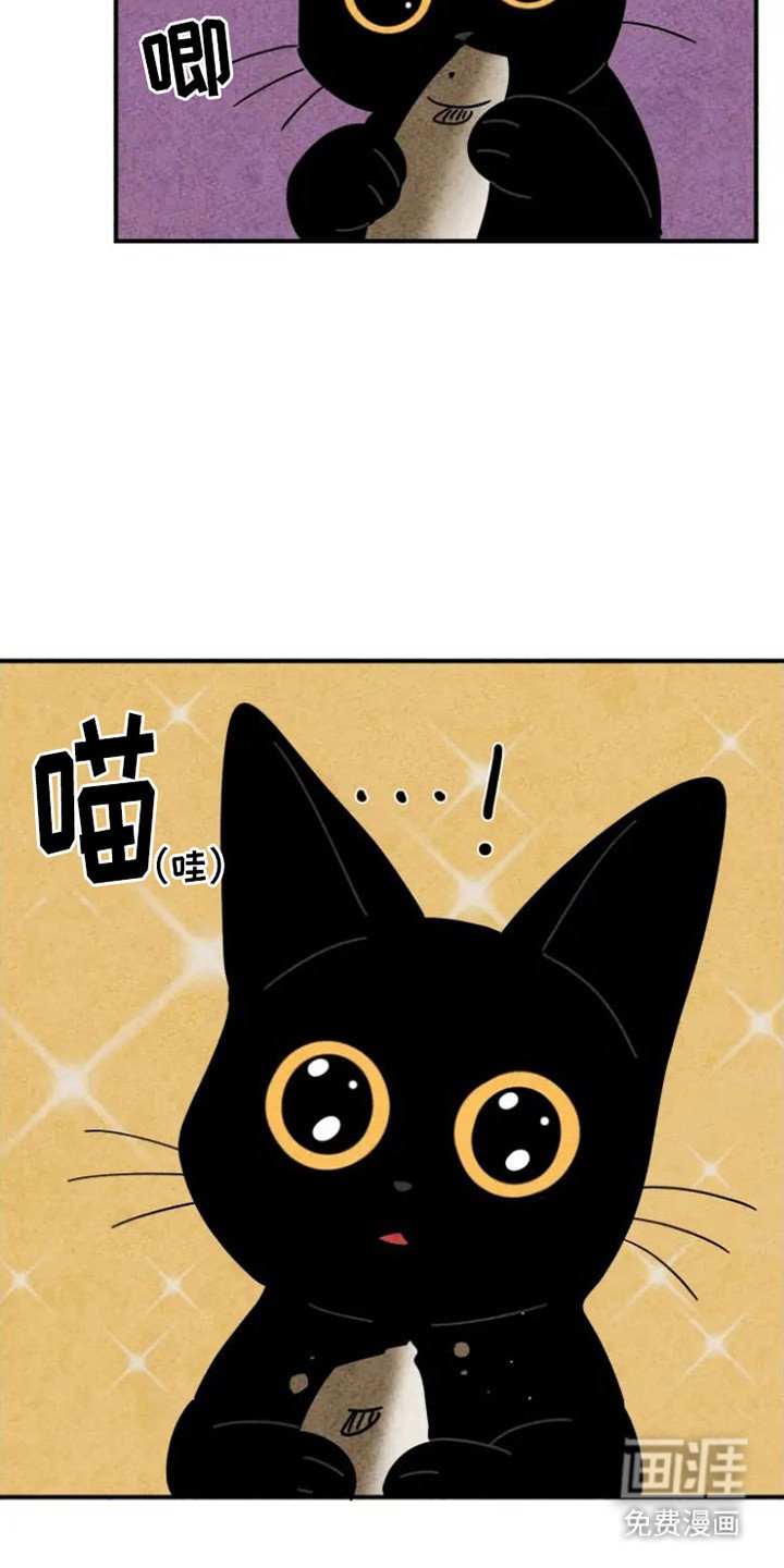 第31章：好久不见