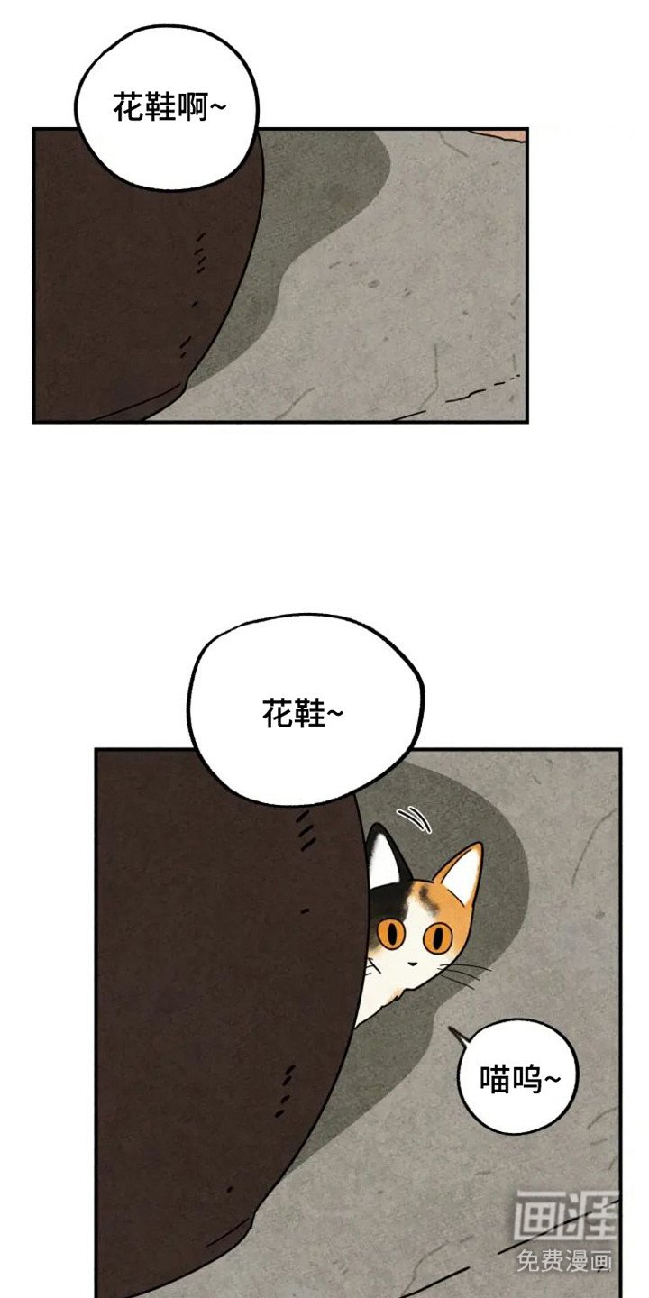 第32章：花猫一家