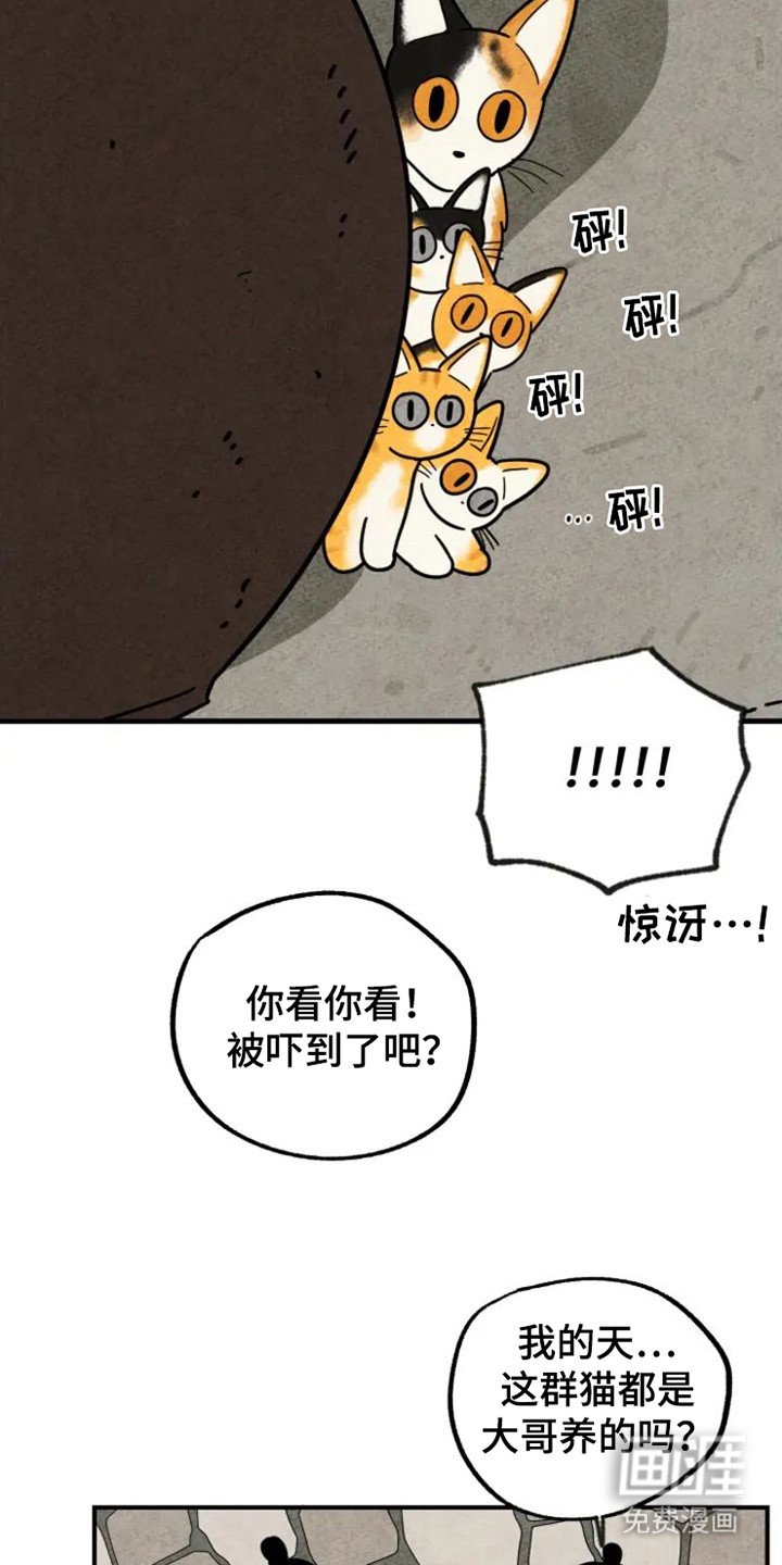 第32章：花猫一家