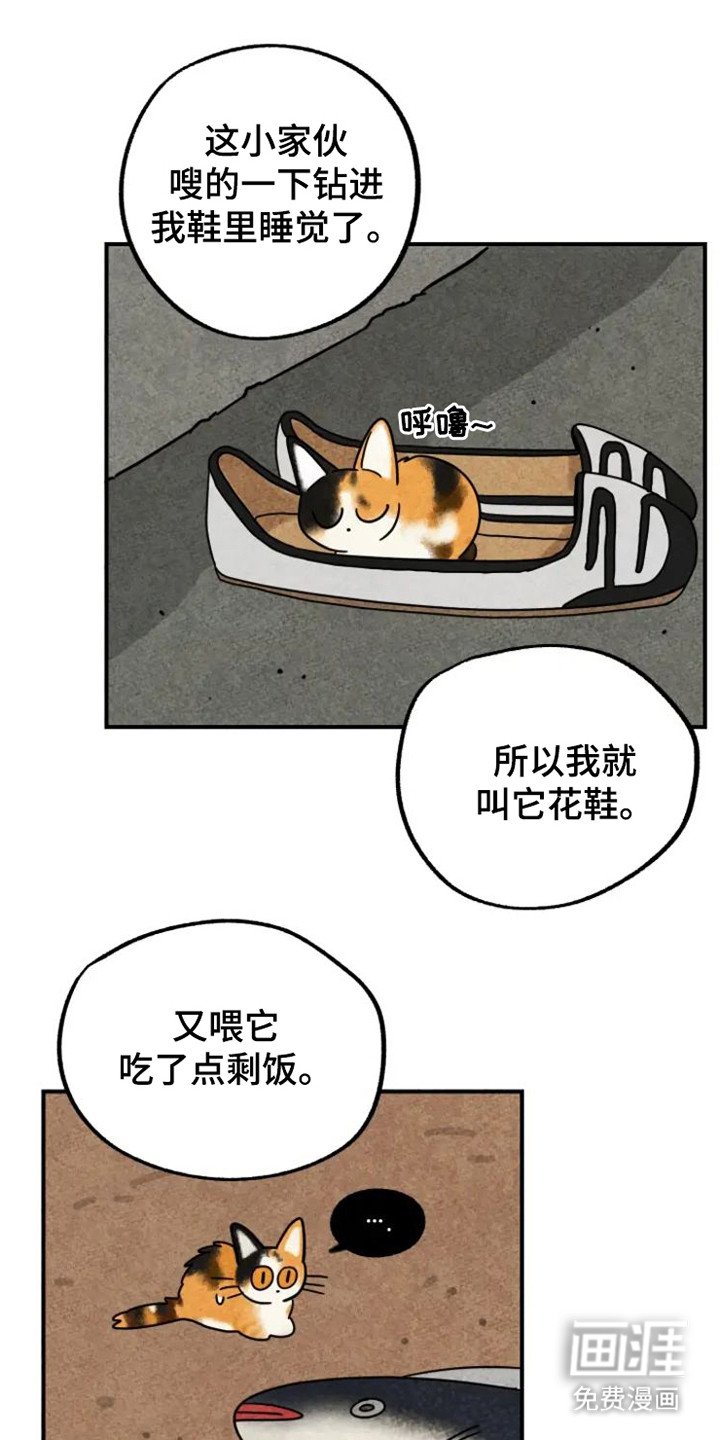 第32章：花猫一家