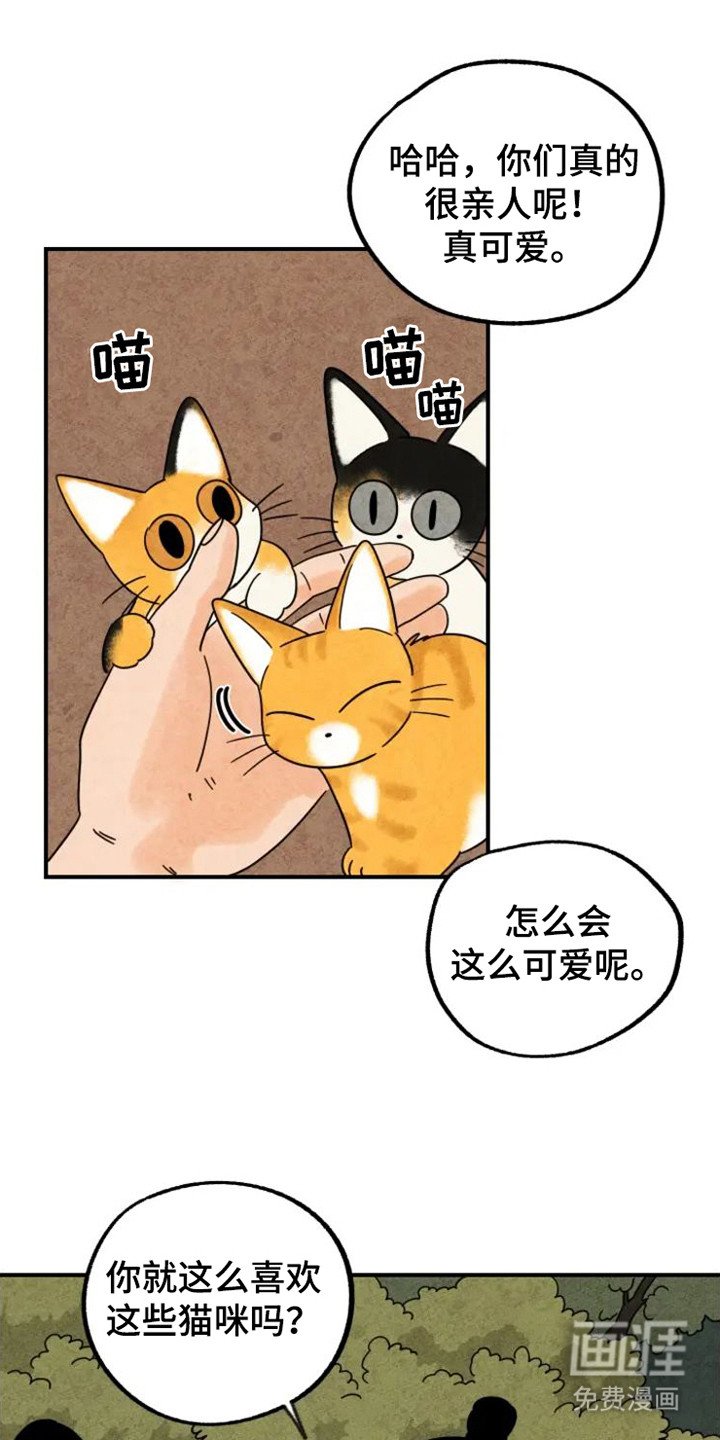第32章：花猫一家