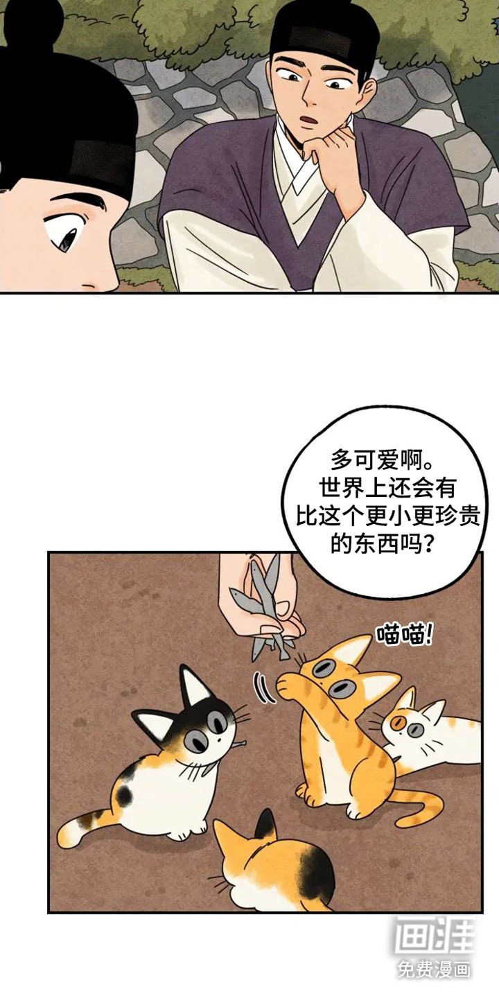 第32章：花猫一家