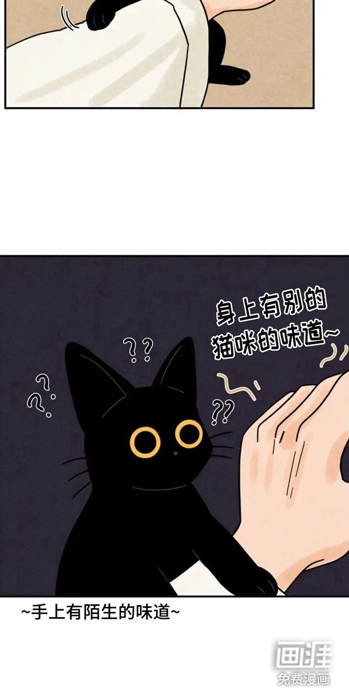 第34章：颇多感触