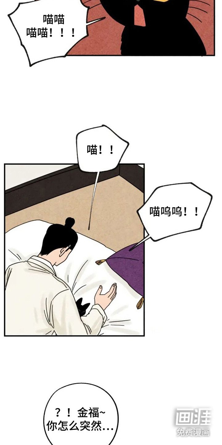 第34章：颇多感触