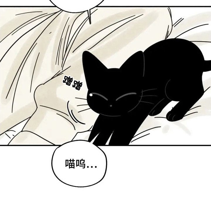 第34章：颇多感触