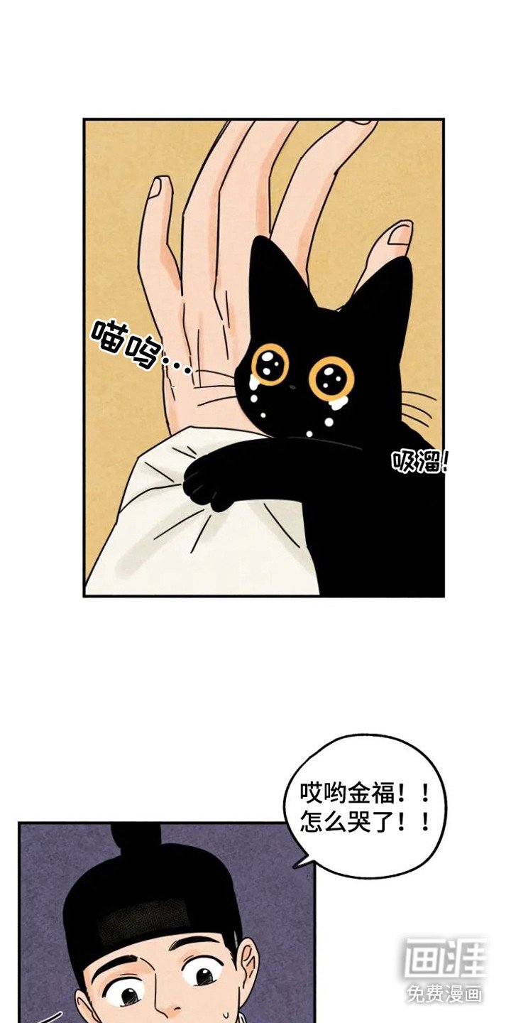 第34章：颇多感触