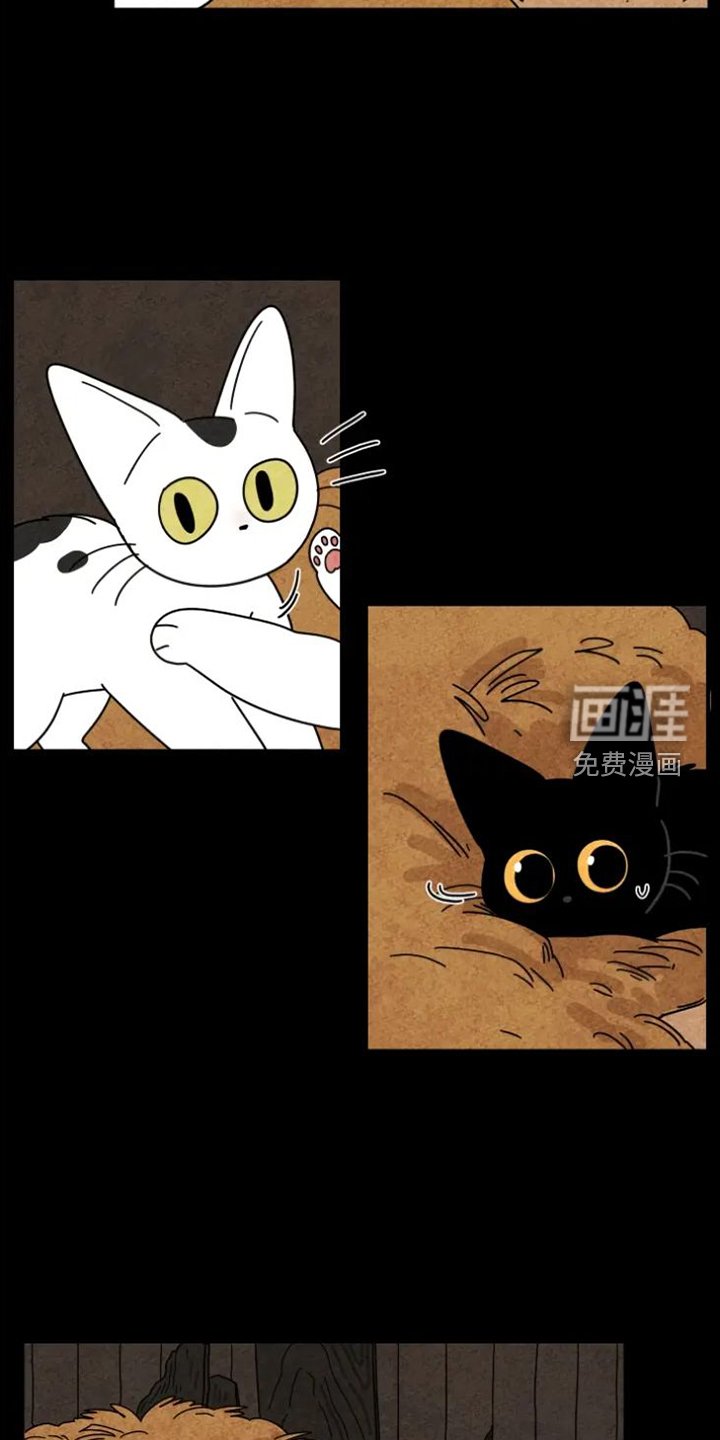 第35章：羡慕