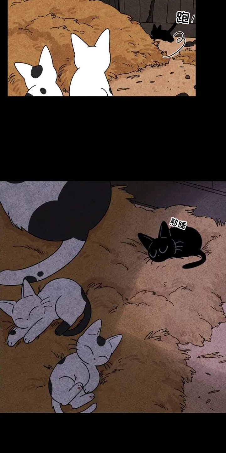 第35章：羡慕