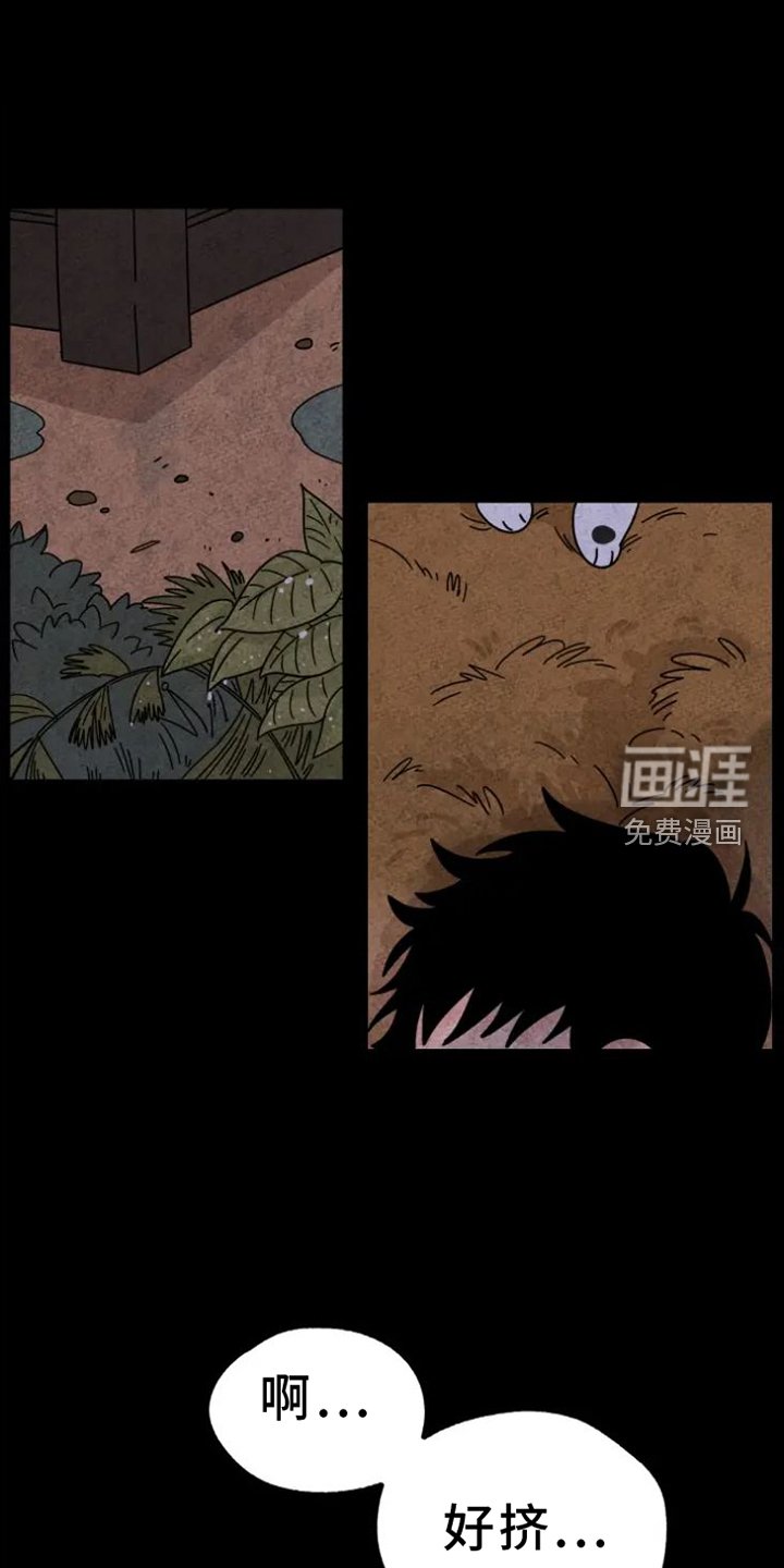 第35章：羡慕